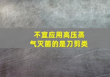 不宜应用高压蒸气灭菌的是刀剪类