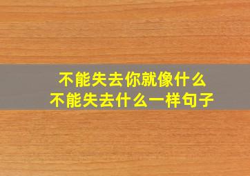 不能失去你就像什么不能失去什么一样句子