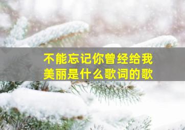 不能忘记你曾经给我美丽是什么歌词的歌