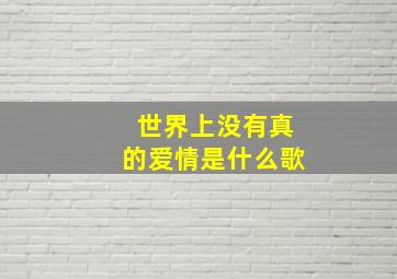 世界上没有真的爱情是什么歌