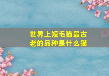 世界上短毛猫最古老的品种是什么猫