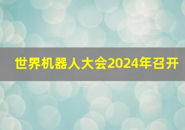 世界机器人大会2024年召开