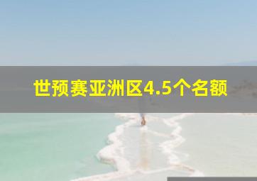 世预赛亚洲区4.5个名额