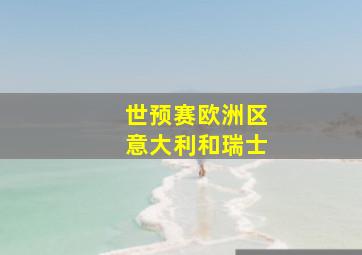 世预赛欧洲区意大利和瑞士