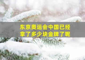 东京奥运会中国已经拿了多少块金牌了呢