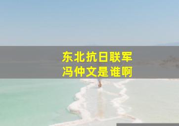 东北抗日联军冯仲文是谁啊