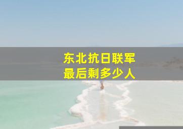 东北抗日联军最后剩多少人