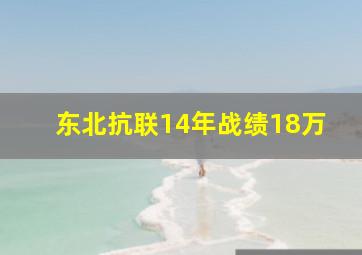 东北抗联14年战绩18万