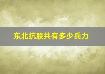 东北抗联共有多少兵力