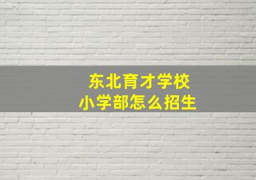 东北育才学校小学部怎么招生