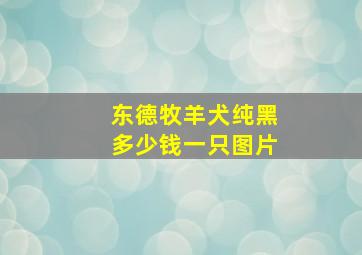 东德牧羊犬纯黑多少钱一只图片