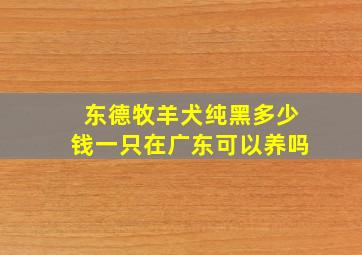 东德牧羊犬纯黑多少钱一只在广东可以养吗