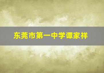 东莞市第一中学谭家祥