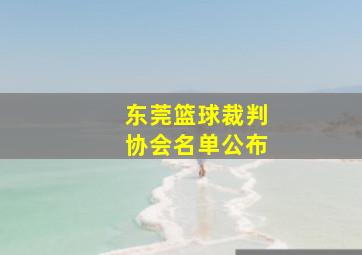 东莞篮球裁判协会名单公布