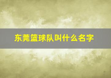 东莞篮球队叫什么名字