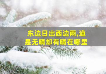 东边日出西边雨,道是无晴却有晴在哪里