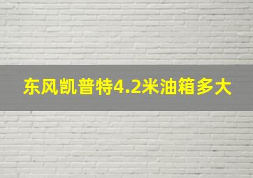 东风凯普特4.2米油箱多大