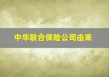 中华联合保险公司由来