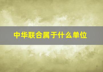 中华联合属于什么单位