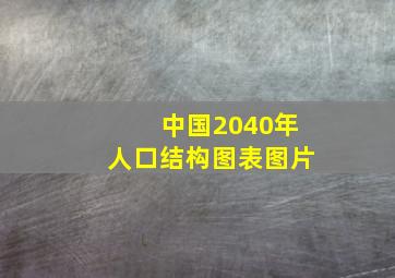 中国2040年人口结构图表图片