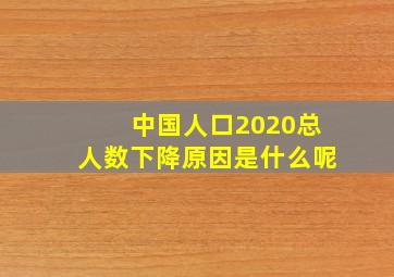 中国人口2020总人数下降原因是什么呢