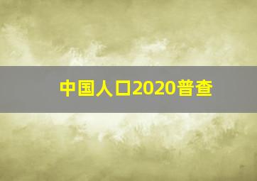 中国人口2020普查