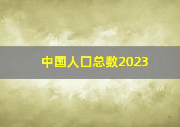 中国人囗总数2023