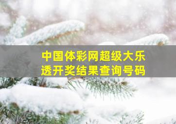 中国体彩网超级大乐透开奖结果查询号码