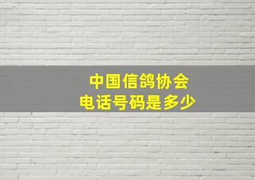 中国信鸽协会电话号码是多少