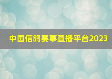 中国信鸽赛事直播平台2023