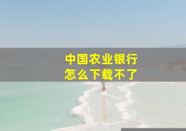 中国农业银行怎么下载不了