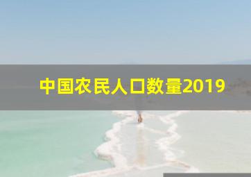 中国农民人口数量2019