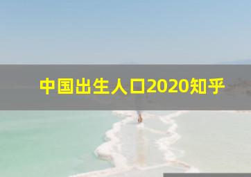 中国出生人口2020知乎