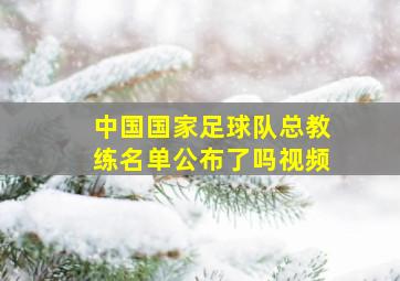 中国国家足球队总教练名单公布了吗视频