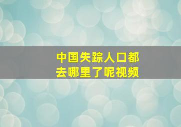 中国失踪人口都去哪里了呢视频