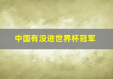 中国有没进世界杯冠军