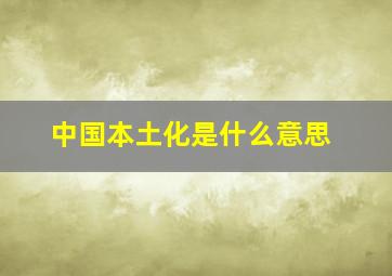 中国本土化是什么意思