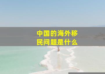 中国的海外移民问题是什么