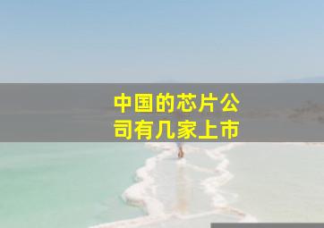 中国的芯片公司有几家上市