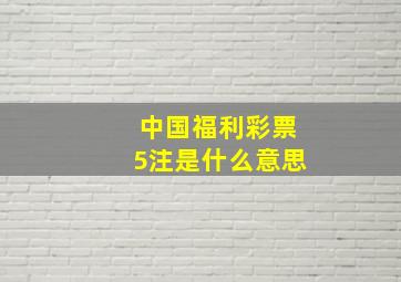 中国福利彩票5注是什么意思