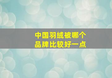 中国羽绒被哪个品牌比较好一点