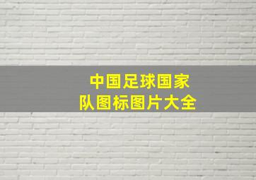 中国足球国家队图标图片大全