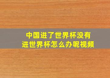 中国进了世界杯没有进世界杯怎么办呢视频