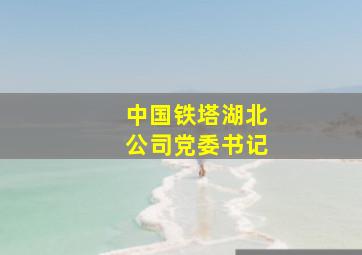 中国铁塔湖北公司党委书记