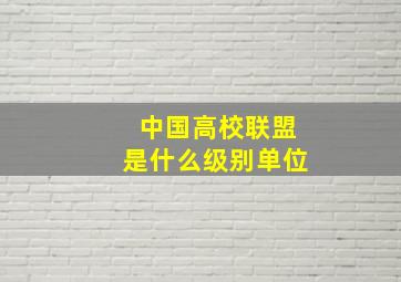 中国高校联盟是什么级别单位