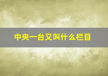 中央一台又叫什么栏目