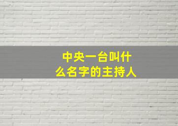 中央一台叫什么名字的主持人