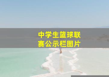 中学生篮球联赛公示栏图片