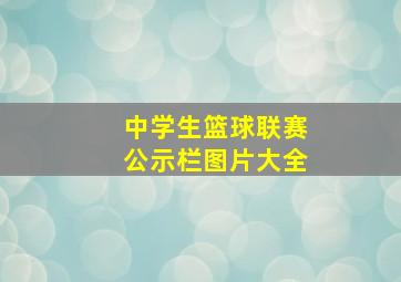 中学生篮球联赛公示栏图片大全