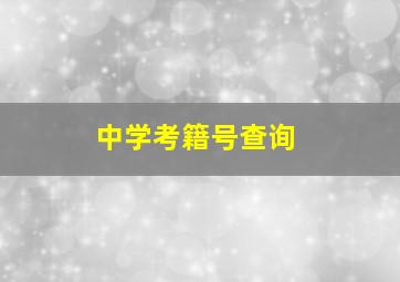 中学考籍号查询